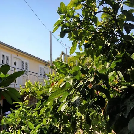 Guest house Gradina 3*