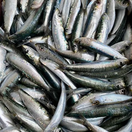 Guest house Gradina 3*