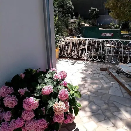 Gradina Loviste